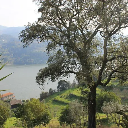 Quinta Quintas&spa 4*