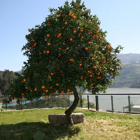 Quinta Quintas&spa Gasthof