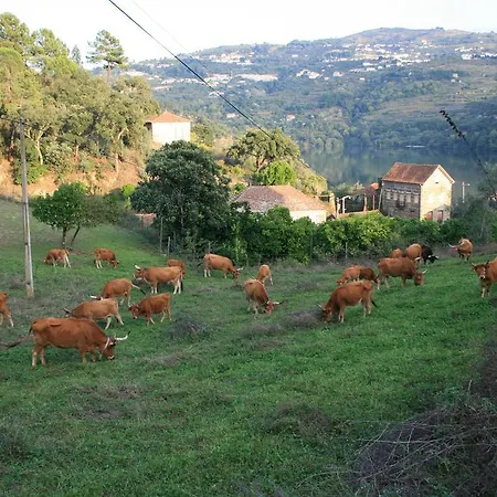 Quinta & Maison d'hôtes 4*