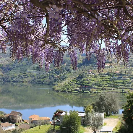 Quinta & Maison d'hôtes