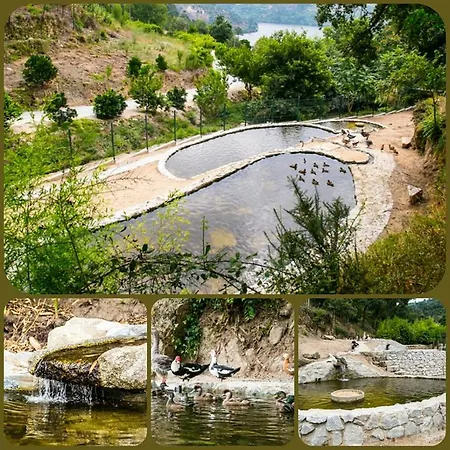 Quinta Quintas&spa Baião